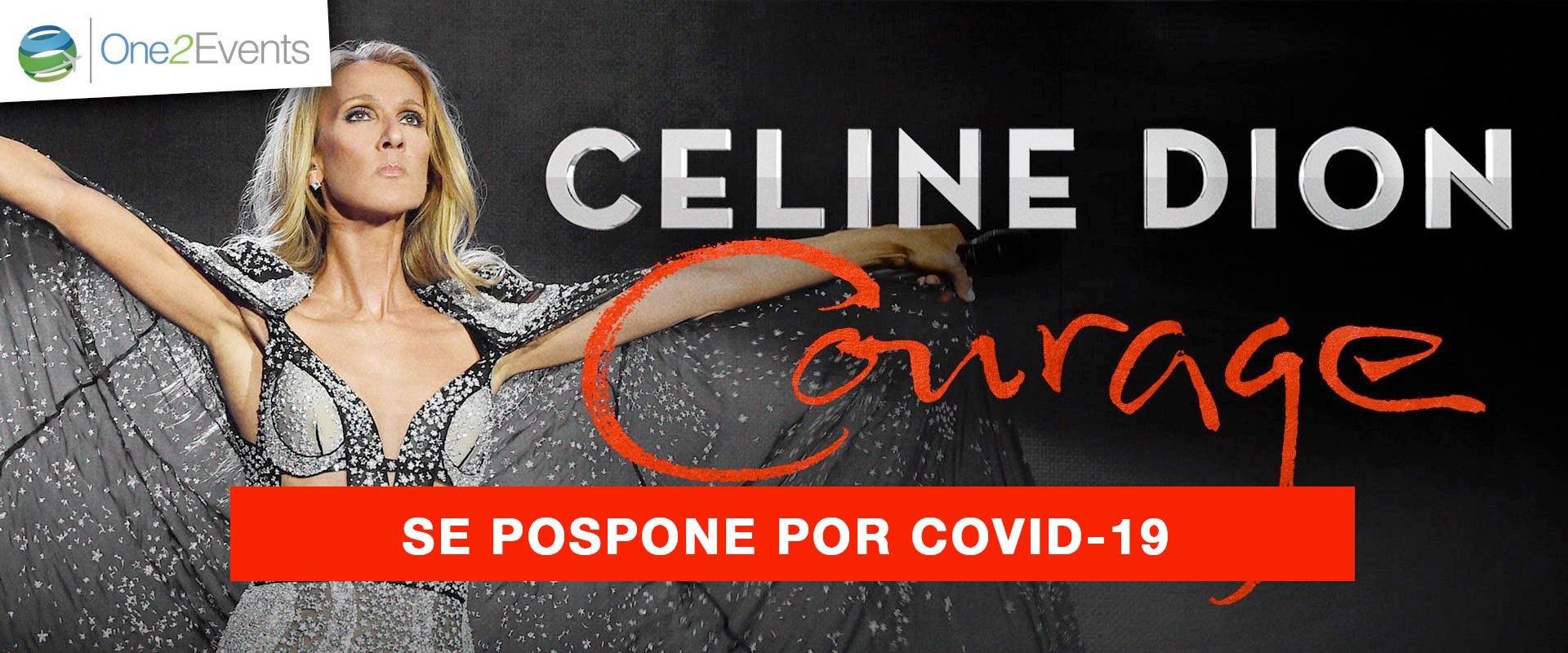 Concierto Celine Dion