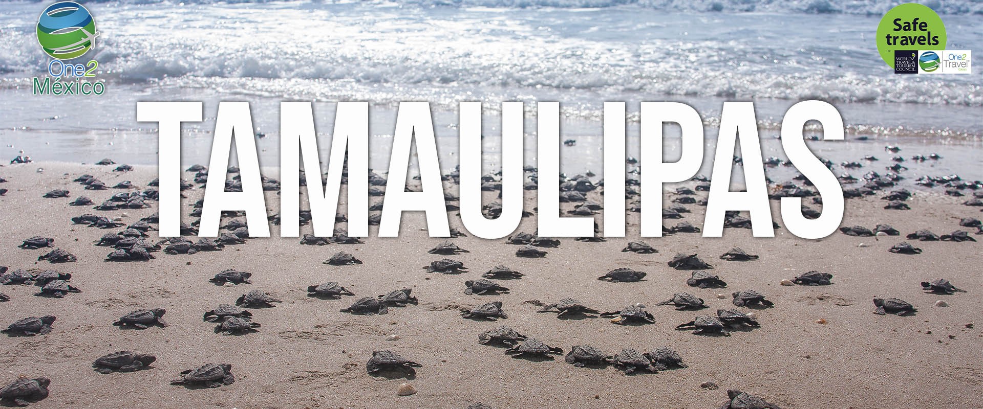 One2México | Seminario Web | Oficina de Turísmo de Tamaulipas