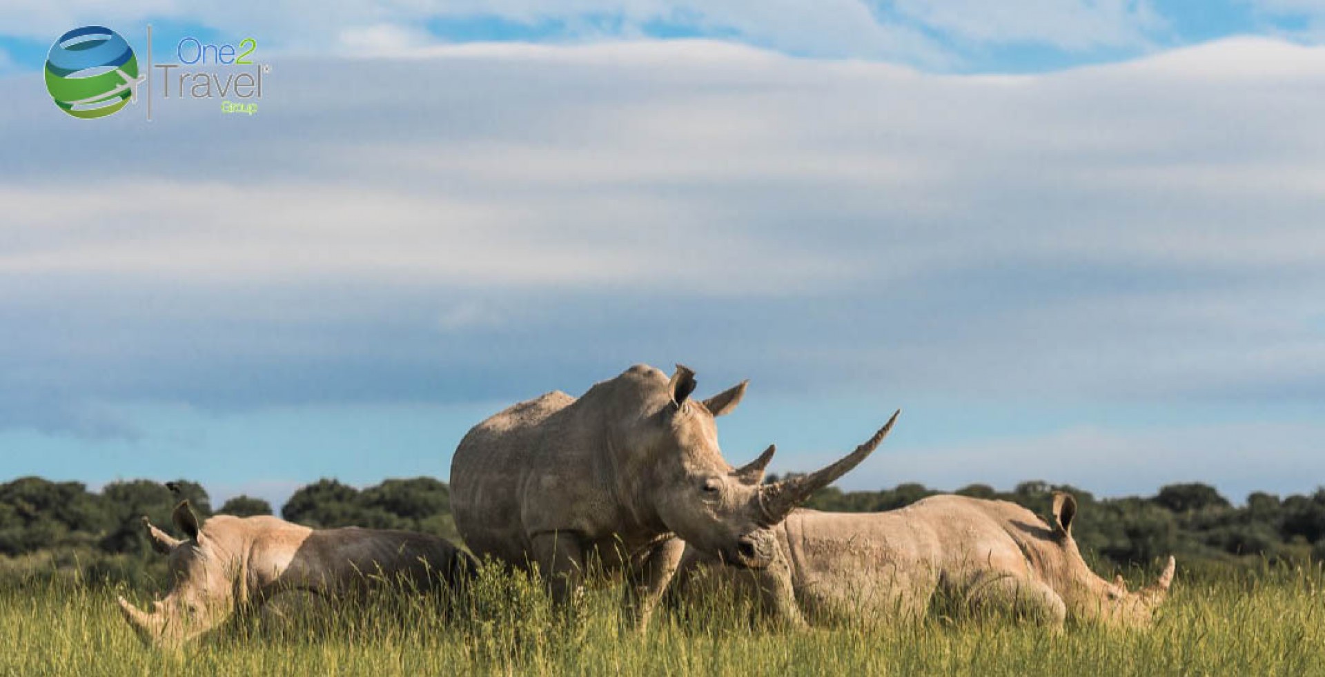 Seminario Web | One2Travel | Sudáfrica